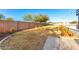 Large backyard with mature trees, a brick wall, and potential for landscaping at 31301 N Sunflower Way, San Tan Valley, AZ 85143