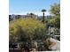 View of city skyline and palm trees from the rooftop at 349 E Thomas Rd # E301, Phoenix, AZ 85012