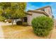 Well maintained home with tidy desert landscaping, mature trees and covered porch at 3663 S Soho Ln, Chandler, AZ 85286
