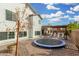 Spacious backyard featuring a trampoline, lounge chairs, and a covered patio, ideal for recreation and relaxation at 807 E Harvard Ave, Gilbert, AZ 85234