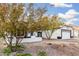 Landscaped front yard showcasing mature trees and rock accents enhancing the home's curb appeal at 807 E Harvard Ave, Gilbert, AZ 85234