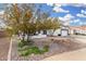 Landscaped front yard showcasing mature trees and rock accents enhancing the home's curb appeal at 807 E Harvard Ave, Gilbert, AZ 85234
