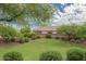 Well-manicured lawn with plenty of shrubbery and trees at 11206 W Granada Rd, Avondale, AZ 85392