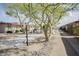 Community setting showcasing mature trees, seating, and walking paths at 12887 N 99Th Dr, Sun City, AZ 85351