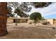 Charming home exterior featuring desert landscaping and mature trees, enhancing the curb appeal at 13251 W Aleppo Dr, Sun City West, AZ 85375