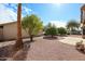 Landscaped backyard featuring mature trees and a concrete patio, ideal for enjoying the outdoors at 19507 N 90Th Ln, Peoria, AZ 85382