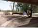 Backyard featuring a stone-lined pathway and mature trees offering shade and character at 409 S Mountain View Dr, Kearny, AZ 85137