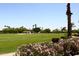 Expansive golf course view framed by lush landscaping and blue skies at 4621 N 65Th St # 152, Scottsdale, AZ 85251