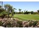 Beautiful shot of lush golf course framed by vibrant foliage and majestic palm trees at 4621 N 65Th St # 152, Scottsdale, AZ 85251