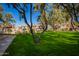 Well-maintained community green space with mature trees and manicured lawns at 500 N Roosevelt Ave # 118, Chandler, AZ 85226