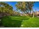 Expansive community green space with mature trees and lush lawn areas at 500 N Roosevelt Ave # 118, Chandler, AZ 85226