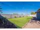 Landscaped backyard featuring a well-maintained lawn, gravel beds, and block wall at 1660 W 7Th Pl, Mesa, AZ 85201
