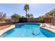 Sparkling pool with palm trees and desert landscaping creates a backyard oasis for relaxing and entertaining at 17705 N Vera Cruz Ave, Maricopa, AZ 85139