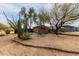 Expansive backyard featuring a shed, mature cacti, a swing set, and desert landscaping at 38408 N 23Rd Dr, Phoenix, AZ 85086