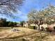 Charming community with lush landscaping, common area and mature trees at 602 N May St # 29, Mesa, AZ 85201