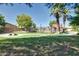 Walking path through a shady park with mature trees, playground, pool, and picnic facilities at 6461 S Kimberlee Way, Chandler, AZ 85249