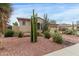 Front yard with desert plants and a well-maintained xeriscaped garden at 9295 W Quail Track Dr, Peoria, AZ 85383