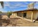 Neutral color backyard featuring a covered patio and well-kept yard at 1455 W Posada Ave, Mesa, AZ 85202