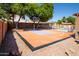 Private basketball court with colorful court and landscaping in a well-maintained backyard at 16626 W Baden Ave, Goodyear, AZ 85338