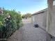 A view of the backyard showing desert landscaping and partial view of the home's exterior at 2101 S Meridian Rd # 354, Apache Junction, AZ 85120