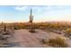 Scenic desert landscape featuring saguaro cacti, native vegetation, and distant mountains against a blue sky at 31409 N 166Th Pl, Scottsdale, AZ 85262