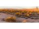 Desert landscape with cacti and mountains at sunset at 31409 N 166Th Pl, Scottsdale, AZ 85262