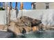 Rock waterfall feature in the backyard pool area with lush landscaping at 4048 E Constitution Ct, Gilbert, AZ 85296