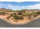 Stunning Southwest home with desert landscaping, mountain views, and a circular driveway at 8540 E Mcdowell Rd # 125, Mesa, AZ 85207