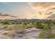 Expansive desert views showcasing the natural beauty and serene landscape at 10999 E Acoma Dr, Scottsdale, AZ 85255