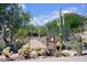 Desert landscaping with walking path at 10999 E Acoma Dr, Scottsdale, AZ 85255