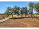 Green common area with walking path and mature trees, perfect for outdoor activities and relaxation at 1108 E Villa Rita Dr, Phoenix, AZ 85022