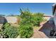 Backyard garden featuring thriving plants and stone landscaping at 5255 W Cochise Dr, Glendale, AZ 85302