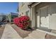 Charming entrance featuring a vibrant bougainvillea bush adding color to the property and concrete steps to the front door at 615 E Portland St # 160, Phoenix, AZ 85004