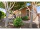 Landscaped backyard featuring brick pavers, shade trees and a built-in barbecue at 13110 W Avenida Del Rey --, Peoria, AZ 85383