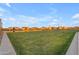 A community recreation area with a well-maintained lawn, landscaping, and a view of the surrounding homes at 25582 S 224Th Way, Queen Creek, AZ 85142