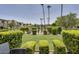 Lovely backyard with a well-maintained lawn, trimmed bushes and community pool access at 4610 N 68Th St # 421, Scottsdale, AZ 85251