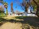 Beautiful backyard boasting a white house, covered patio, and an assortment of mature trees at 8002 N 5Th Ave, Phoenix, AZ 85021