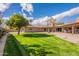 Lush green backyard with a vibrant orange tree and a spacious patio area, perfect for outdoor living at 801 W Tyson St, Chandler, AZ 85225