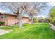 Lush backyard featuring a hammock strung between mature trees, and a well-maintained lawn at 801 W Tyson St, Chandler, AZ 85225
