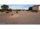 Spacious backyard with gravel landscaping, mature trees, and a covered patio, perfect for outdoor living and entertaining at 11189 W Cameo Dr, Sun City, AZ 85351