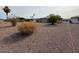 This house has low maintenance desert landscaping at 11189 W Cameo Dr, Sun City, AZ 85351