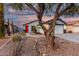 Inviting single-story home with a two-car garage, desert landscaping, and a mature shade tree at 12630 W Aster Dr, El Mirage, AZ 85335