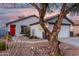 Inviting single-story home with desert landscaping, a unique tree, and a vibrant red front door at 12630 W Aster Dr, El Mirage, AZ 85335