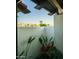 Private courtyard featuring white walls, colorful flora, and a glimpse of the neighborhood at 3140 E Claremont Ave, Phoenix, AZ 85016