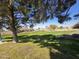 Picturesque neighborhood park featuring open green spaces, mature trees, and well-maintained landscaping at 4405 W Park St, Laveen, AZ 85339