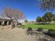 Scenic view of neighborhood green space with mature trees, lush grass, and walking paths at 4405 W Park St, Laveen, AZ 85339