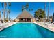 Beautiful community pool with a covered lounging area, chairs, and desert landscaping at 1500 N Markdale -- # 8, Mesa, AZ 85201