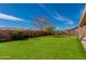 Expansive backyard with well-maintained lawn, mature trees, and plenty of space for recreation at 8637 E Olla Ave, Mesa, AZ 85212