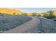 Scenic walking path near home surrounded by trees and beautiful green vegetation at 11673 N 136Th St # 1013, Scottsdale, AZ 85259