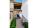 A welcoming entry with potted plants creates a cozy and inviting entrance to the home at 13642 S 42Nd St, Phoenix, AZ 85044